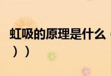 虹吸的原理是什么（虹吸的原理是什么（图文））