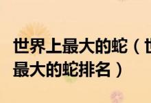 世界上最大的蛇（世界体形最大的十类蛇全球最大的蛇排名）
