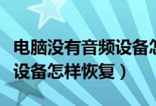 电脑没有音频设备怎么重新装（电脑没有音频设备怎样恢复）