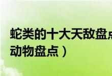 蛇类的十大天敌盘点（蛇最怕什么动物吃蛇的动物盘点）