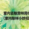 室内去除异味用什么方法最快（室内除异味用什么效果最好(室内除味小妙招)）