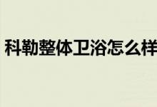 科勒整体卫浴怎么样（科勒整体卫浴价格表）