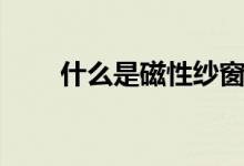 什么是磁性纱窗（磁性纱窗好不好）