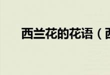 西兰花的花语（西兰花的花语是什么）