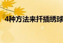 4种方法来扦插绣球花（4种方法来系头巾）