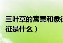 三叶草的寓意和象征意义（三叶草的寓意和象征是什么）