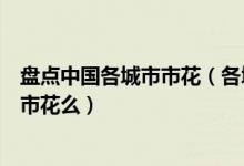 盘点中国各城市市花（各城市市花是什么你知道自己城市的市花么）