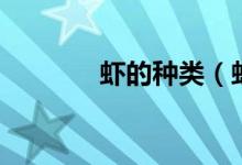 虾的种类（虾分为哪些种类）