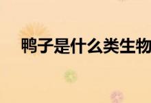 鸭子是什么类生物（鸭子是什么类动物）