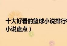 十大好看的篮球小说排行榜（篮球竞技类小说推荐热门篮球小说盘点）