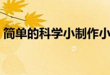 简单的科学小制作小学（简单的科学小制作）