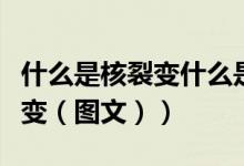 什么是核裂变什么是核质变举例（什么是核裂变（图文））