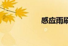  感应雨刷是什么意思 