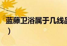 蓝藤卫浴属于几线品牌（蓝藤卫浴质量怎么样）