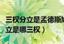 三权分立是孟德斯鸠哪本著作提出的（三权分立是哪三权）