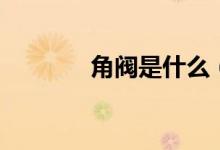 角阀是什么（怎么挑选角阀）