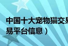 中国十大宠物猫交易网站（汇集各大宠物猫交易平台信息）