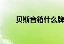 贝斯音箱什么牌子好（要怎么选购）