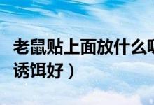 老鼠贴上面放什么吸引老鼠（老鼠贴上放什么诱饵好）