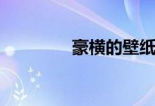 豪横的壁纸（豪横的意思）