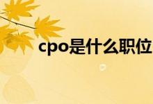 cpo是什么职位（CPO是什么意思）