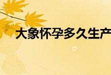 大象怀孕多久生产（大象一般怀孕多久）