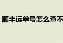 顺丰运单号怎么查不到（顺丰运单号怎么查）