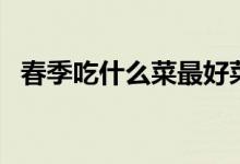 春季吃什么菜最好菜谱（春天要吃什么菜）