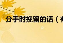 分手时挽留的话（有哪些分手挽留的句子）