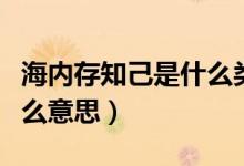 海内存知己是什么类型的诗（海内存知己是什么意思）