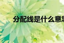 分配线是什么意思（FPX是什么意思）