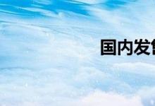 国内发售时间曝光 