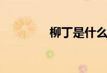 柳丁是什么（柳丁是什么）