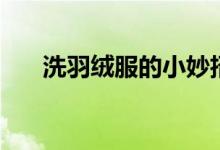 洗羽绒服的小妙招（如何清洗羽绒服）