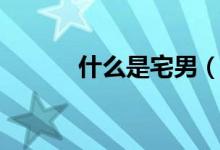 什么是宅男（宅男是什么意思）