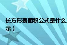 长方形表面积公式是什么文字（长方形的面积公式用文字表示）