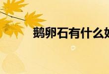 鹅卵石有什么好处（要怎么铺设）