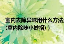 室内去除异味用什么方法最快（室内除异味用什么效果最好(室内除味小妙招)）