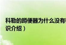 科勒的蹲便器为什么没有标志（小贴士丨科勒蹲便器尺寸知识介绍）