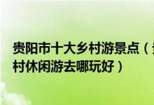 贵阳市十大乡村游景点（贵阳乡村旅游景点推荐贵阳周边乡村休闲游去哪玩好）