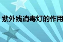 紫外线消毒灯的作用是什么（带你了解清楚）