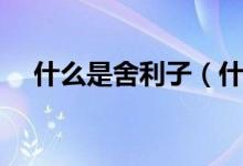 什么是舍利子（什么是舍利子佛教中的）
