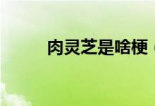 肉灵芝是啥梗（肉灵芝是什么梗）