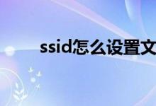 ssid怎么设置文字（ssid怎么设置）