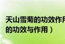 天山雪菊的功效作用及禁忌是什么（天山雪菊的功效与作用）