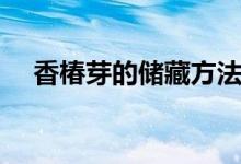 香椿芽的储藏方法（香椿芽的储存方法）