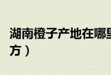 湖南橙子产地在哪里（湖南橙子产地在什么地方）