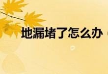 地漏堵了怎么办（地漏堵了如何解决）