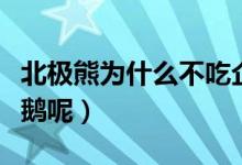 北极熊为什么不吃企鹅（北极熊为什么不吃企鹅呢）