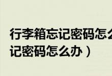 行李箱忘记密码怎么办简单的方法（行李箱忘记密码怎么办）